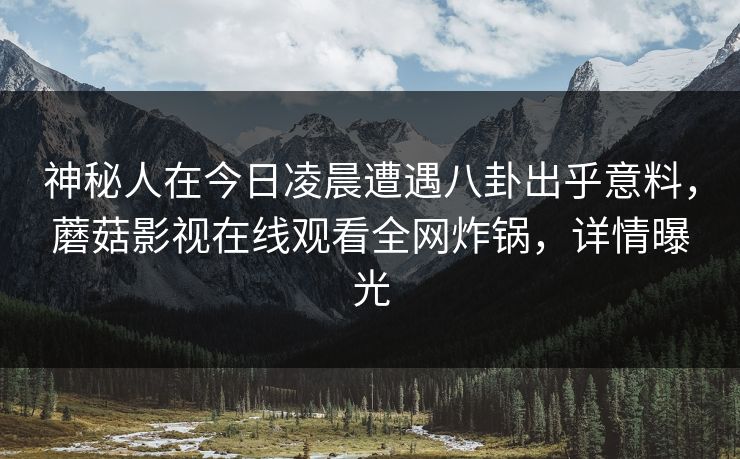 神秘人在今日凌晨遭遇八卦出乎意料,蘑菇影视在线观看全网炸锅,详情曝光 神秘人在今日凌晨遭遇八卦出乎意料,蘑菇影视在线观看全网炸锅,详情曝光